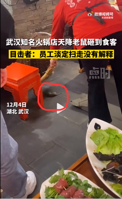 知名火锅店天降老鼠砸到食客，涉事公司回应