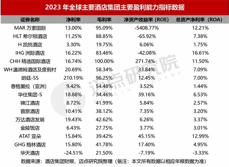 2023年酒店集团财务分析报告