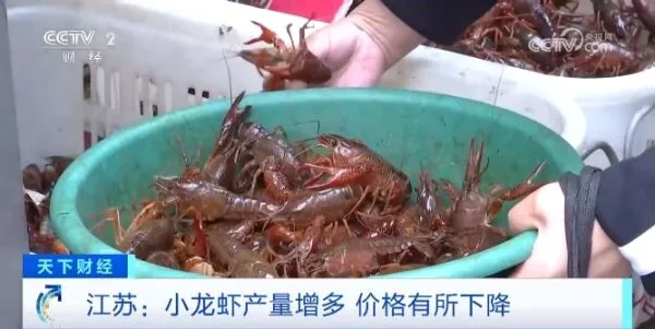 大量吃货的“心头爱”，建议一次食用小龙虾不