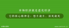 关店率高达51.91%，关店数远超开店数，黑色经典